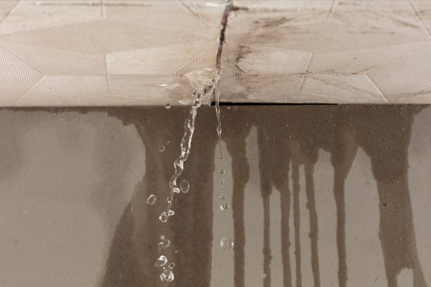 Professional Burst Pipe Cleanup technician working in Arlington, VA